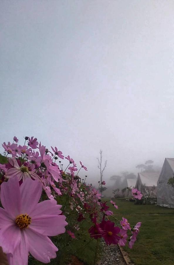 Lys I Dalen Resort&Camping Khao Kho Exterior photo